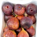 사평대로28길 31 (2) 이미지