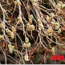 떡버들공원 이미지