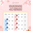 강남셀럽의원 이미지