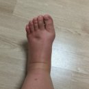 다움산부인과의원 이미지