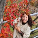 시니어 건강댄스 이미지