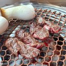 김남희한우 이미지