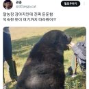 어떻게 강아지 품종 뜻이 뚠딴폭 이미지