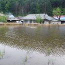 신록의 계절, 오월에 걷는 동네 산책길 / 잠시 일본어 쉬어가는 시간 이미지