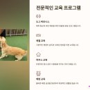 핀 독 이미지