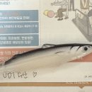 유디티수산 이미지