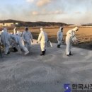 재광농장 이미지