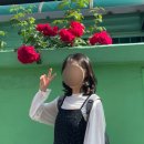 2PM헤어루 | 주안 미용실 26도헤어 소원 엘리트 커트 후기 | 여자커트 잘하는곳 추천!