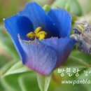 오늘은 음표 이미지