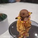 (주)오드아이스튜디오 | [행사] 제 22회 서울 프로젝트돌 후기