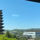 더케이에델바이스 이미지