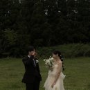 [제주 스냅] 촬영 후기 / 데이지데이 / 아일랜드필름...실장 / 홀스테일러 / 투리틀 플라워 / 찐투어...
