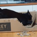 금난의 집 이미지