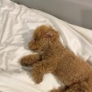아인스동물병원 이미지