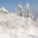 2023년 신년산행 1월 정기산행 태백산 이미지