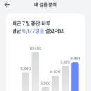 주담와인 이미지
