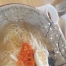 국수나무 이미지