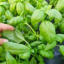 은우농장 이미지