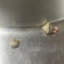 동수동물병원 이미지