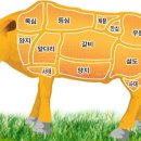 우린 꼭 한우 이미지