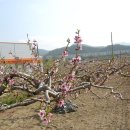 해안초등학교 이미지