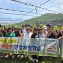 풍양중학교 이미지