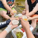 해미레2 이미지