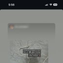 리틀 플라워 이미지