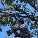 나래농수산 이미지