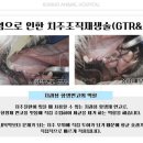 금호동물병원 이미지