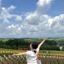 (주)트립에이드 | [공지] 삿포로 비에이투어 7월 내돈내산 후기, 준페이 예약