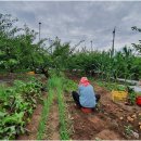 두은농장 이미지