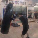 경희 복싱체육관 이미지