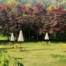 [남부] 올데이브런치 A 이미지