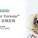 주식회사 대한테크