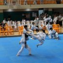 고일태권도 이미지