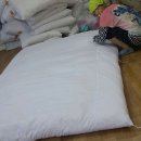 대덕솜이불