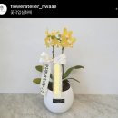꽃작업실화애 이미지