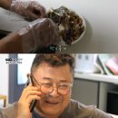 사람술이 좋다 서울신문