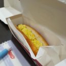 스테프핫도그익스프레스