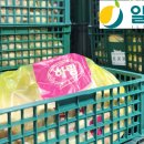 일승푸드 - 동구 | 일승푸드