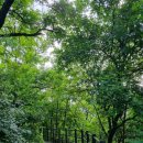 홍록배드민턴장 화장실 이미지