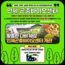 행복한 곤충 이미지