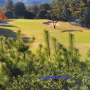 후니골프 | 부산 출발 마쓰야마 골프투어 패키지 정보 총정리｜숙소·온천·코스 후기