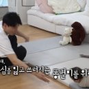 똥별이