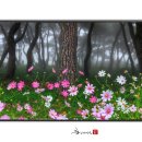 솔밭공원2 이미지