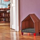 find your dog 이미지