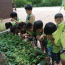 유원유치원 이미지