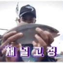 동해회식당 이미지