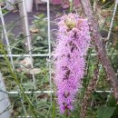 한림정역 이미지